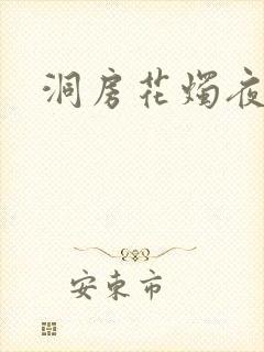 洞房花烛夜小说