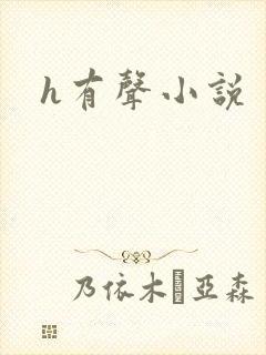 h有声小说