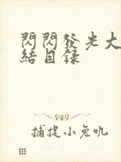 闪闪发光大团圆结目录