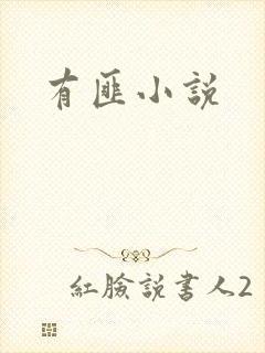 有匪小说