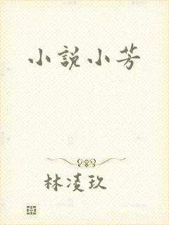 小说小芳