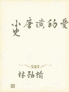 小唐璜的爱情历史封面