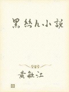 黑丝h小说