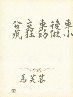 公交车后车座的疯狂的做小封面