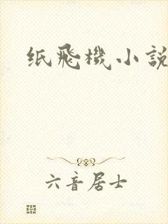 纸飞机小说