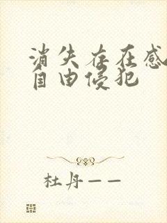 消失存在感消失自由侵犯