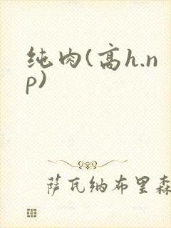 纯肉(高h.np)