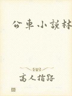 公车小说林蔓蔓