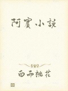 阿宾小说