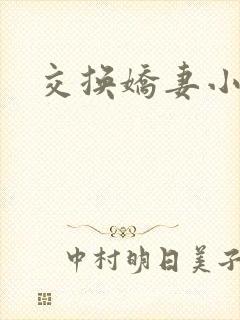 交换娇妻小说