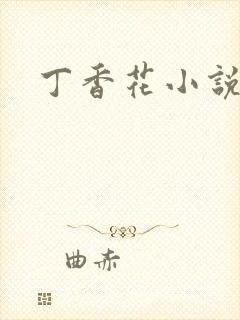 丁香花小说