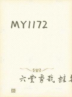 MY1172封面
