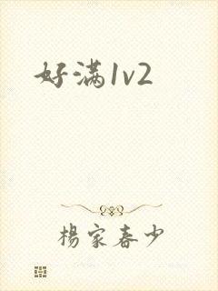 好满1v2