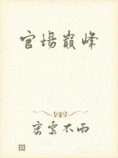 官场巅峰封面
