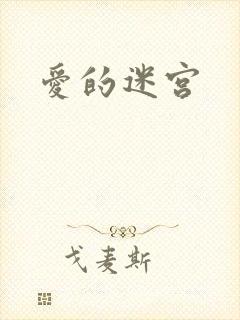 爱的迷宫