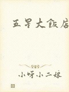 五星大饭店小说