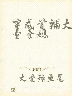 穿成首辅大人的童养媳