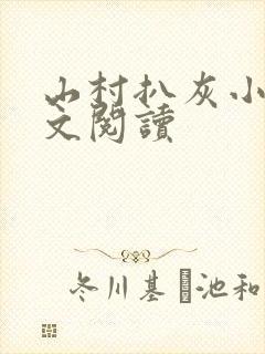 山村扒灰小说全文阅读封面