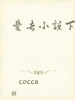 爱去小说下载网