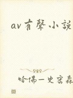 av有声小说封面