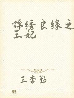 锦绣良缘之北地王妃