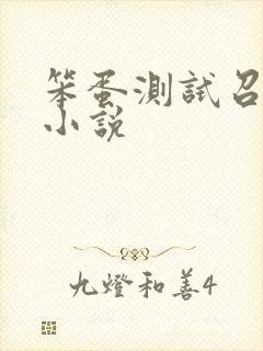 笨蛋测试召唤兽小说