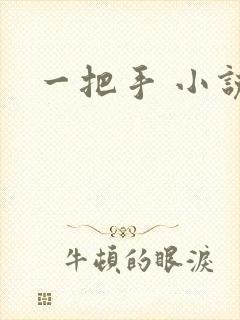 一把手 小说