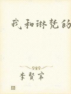 我和琳梵的故事