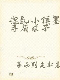 混乱小镇墨池砚寺庙求子封面