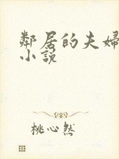 邻居的夫妇交换小说