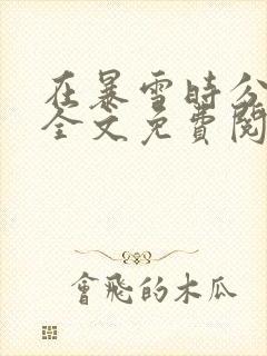 在暴雪时分小说全文免费阅读封面