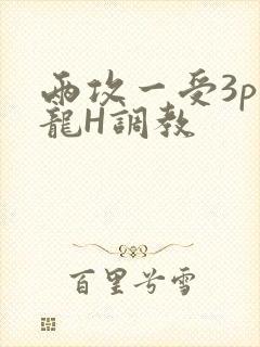 两攻一受3p双龙H调教