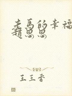 老马的幸福生活赵思思