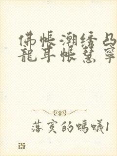 佛帐潮绣凸浮双龙耳帐慧宁法师封面