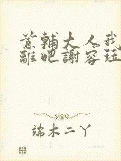 首辅大人我们和离吧谢容珏