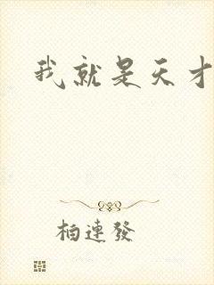 我就是天才封面