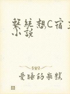 系统想C宿主的小说