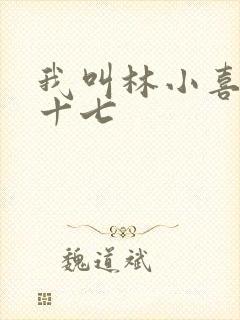 我叫林小喜今年十七