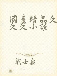 国产精品久久久久久小说