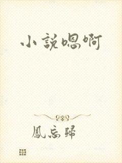小说嗯啊