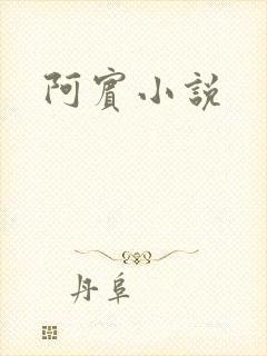 阿宾小说封面