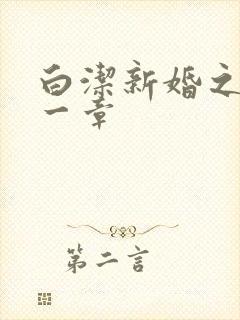 白洁新婚之夜第一章