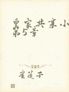 皇家共享小公主第5章