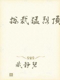 总裁猛烈顶弄h封面