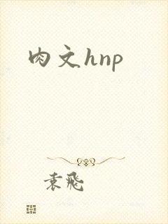 肉文hnp