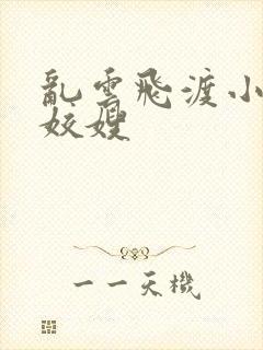 乱云飞渡小说之姣嫂