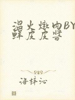 温火炖肉BY海鲜皮皮酱