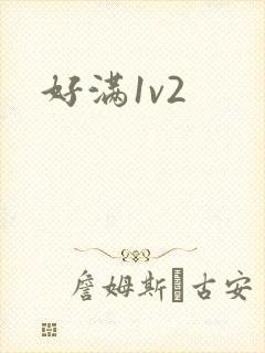 好满1v2