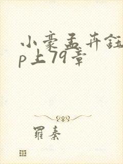 小豪孟卉钰慧三p上79章封面