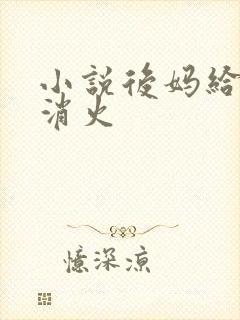 小说后妈给我消消火